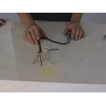 Tekonsha Voyager Wiring