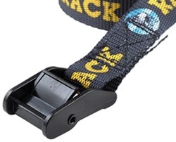 cam buckle