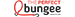 The_Perfect_Bungee logo