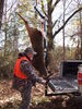 Deer hanging from Viking Solutions Rack Jack II hoist.