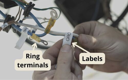 Ring terminals and labels on junction box