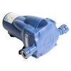 Whale Watermaster Automatic Pressure Freshwater Pump.