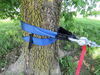 Bulldog Winch tree saver strap tied to tree. 