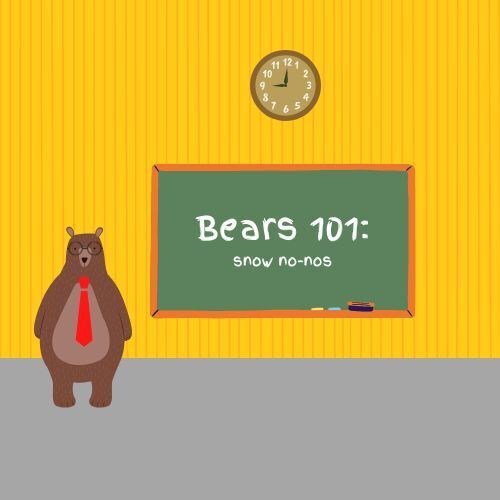 bear is always cautious