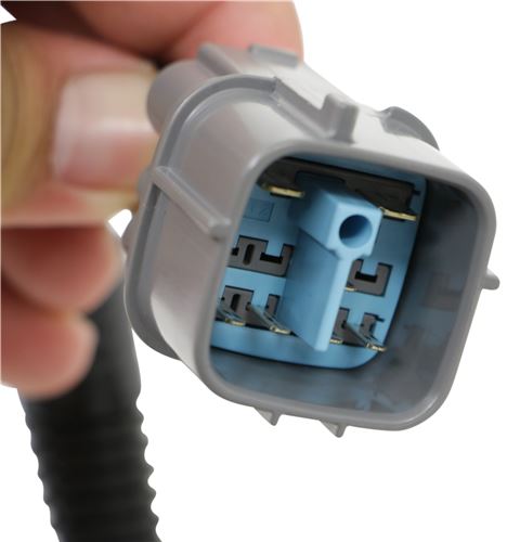 2019 Honda Ridgeline Curt T-Connector Vehicle Wiring Harness with 7-Way