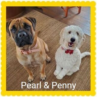 Pearl and Penny Pearl and Penny