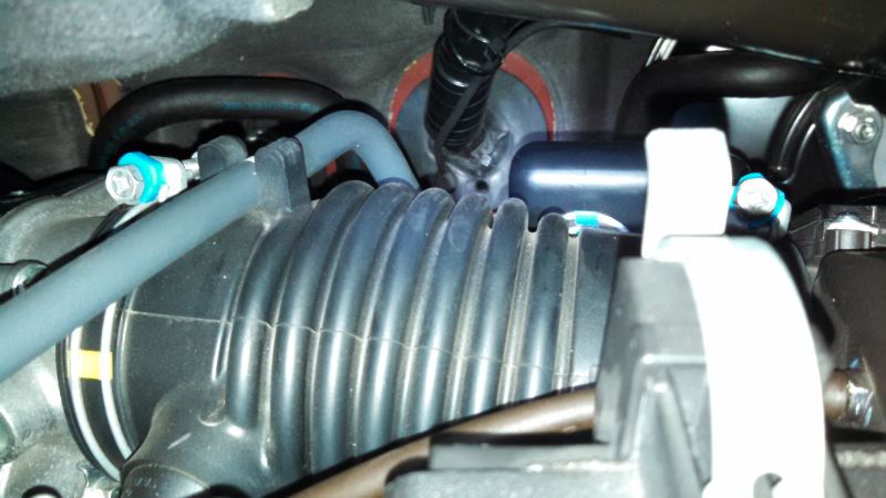 2014 Toyota Sienna Custom Fit Vehicle Wiring - Curt