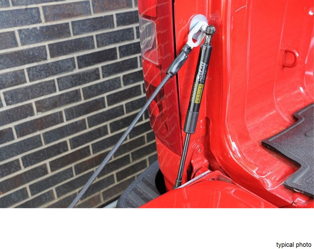 Tailgate Shock Assist for 2015 Chevy Silverado 1500 DZ43101